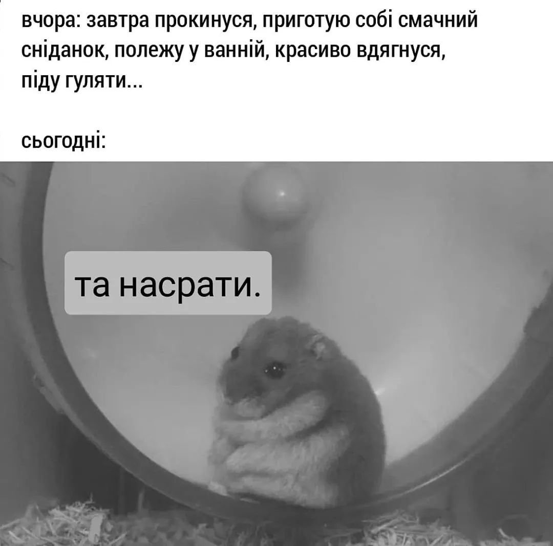 Проснулись с добрым утром