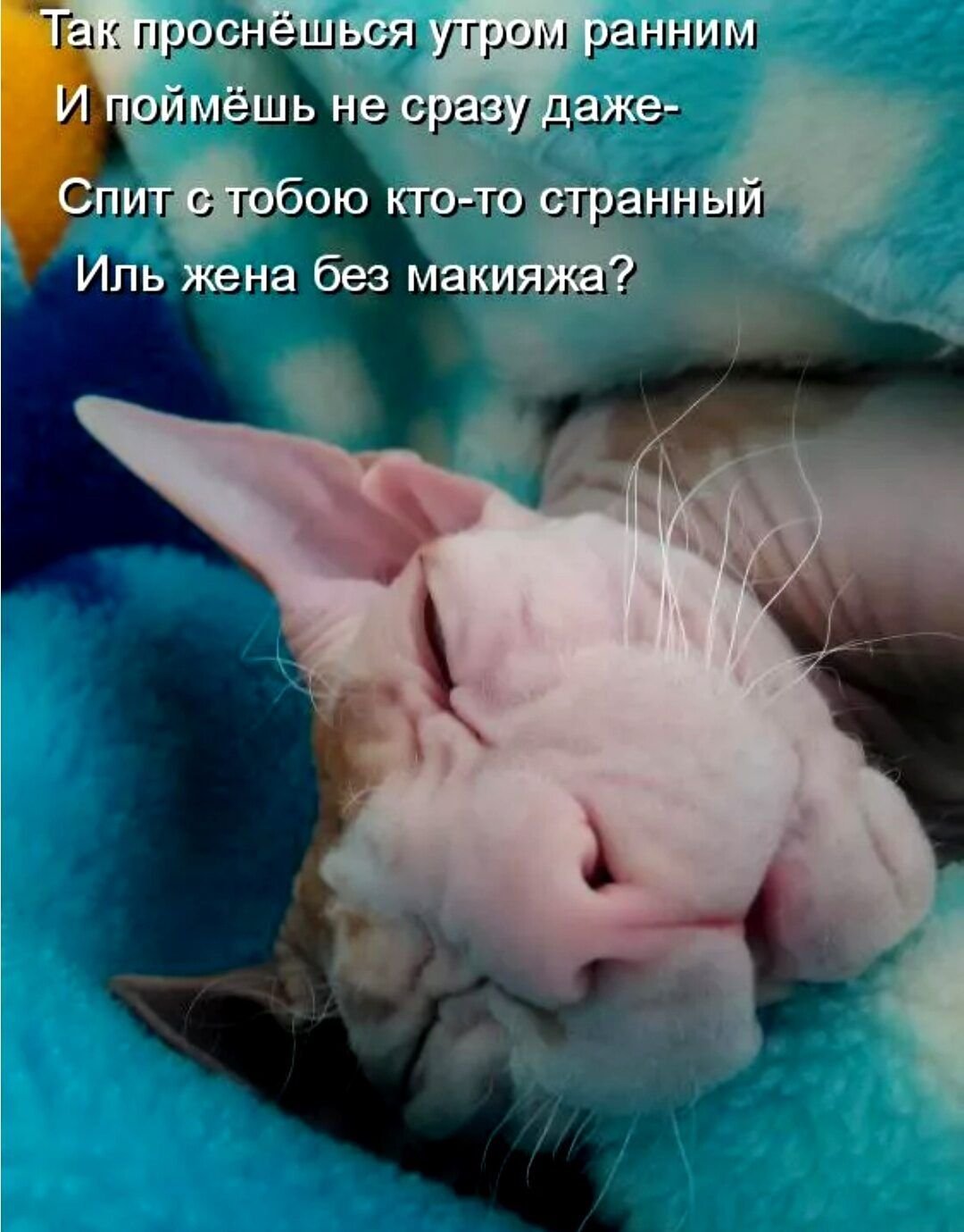 Стараюсь уснуть