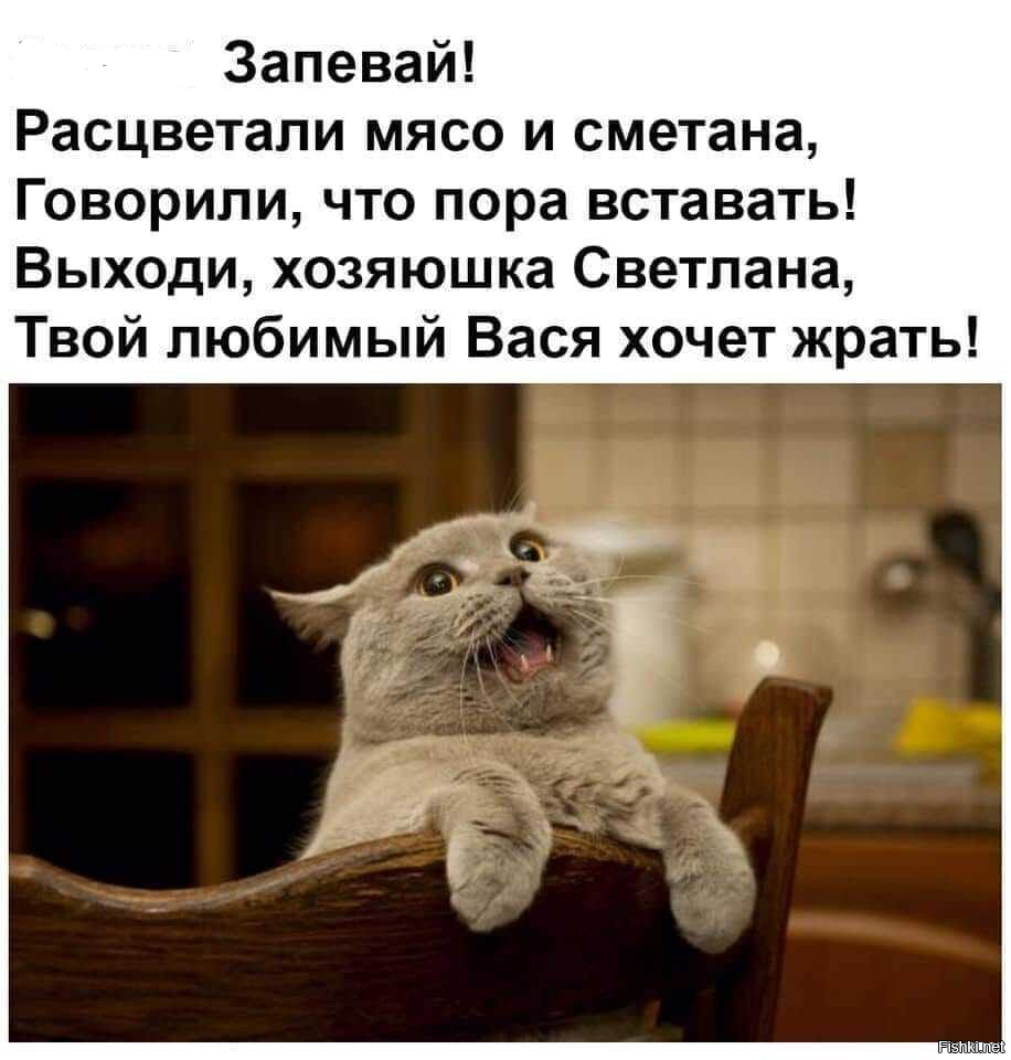 5 Утра запевай Расцветали мясо и сметана