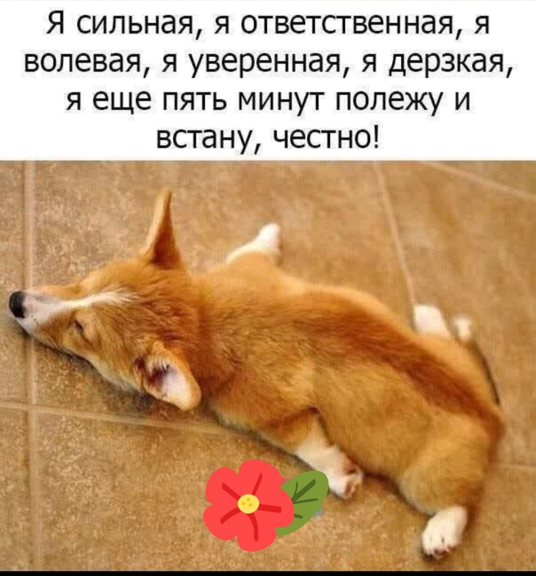 Доброе утро я проснулась