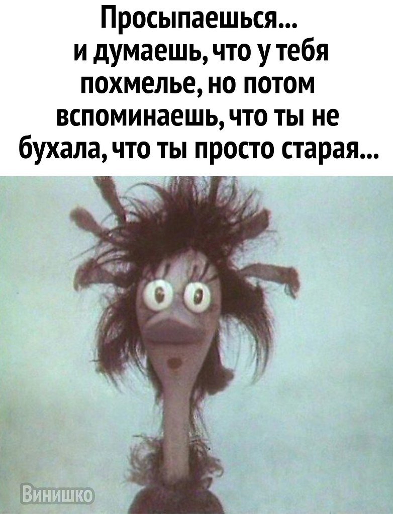 Мемы с котами