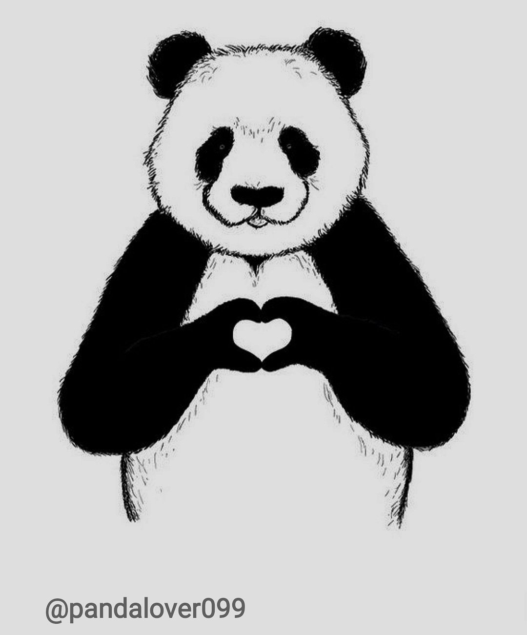 Панда рисунок