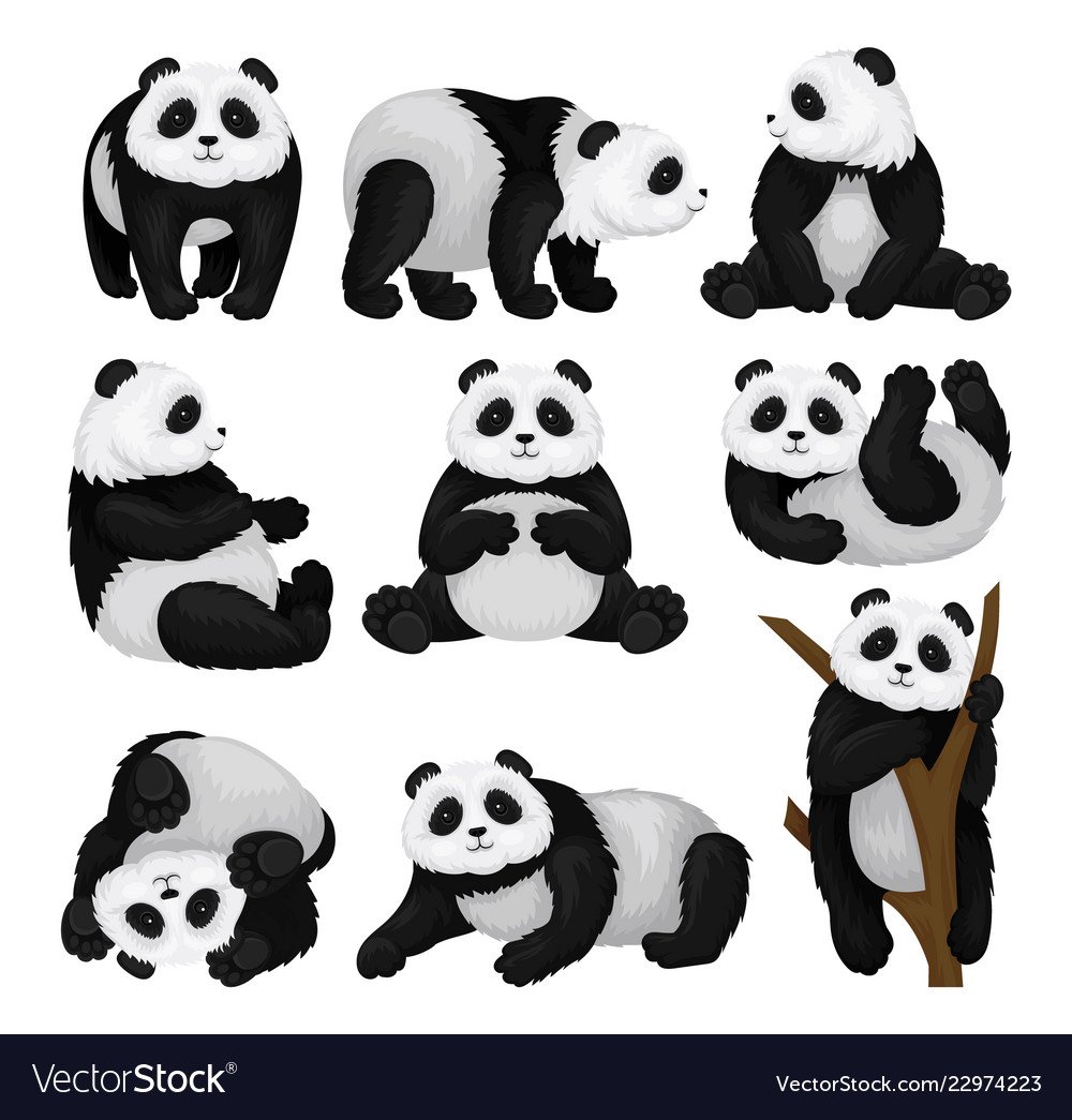 Панда вектор