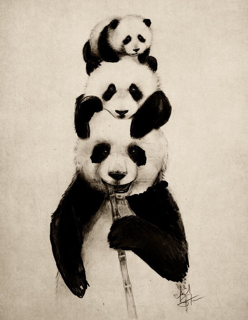 Панда с бамбуком вектор