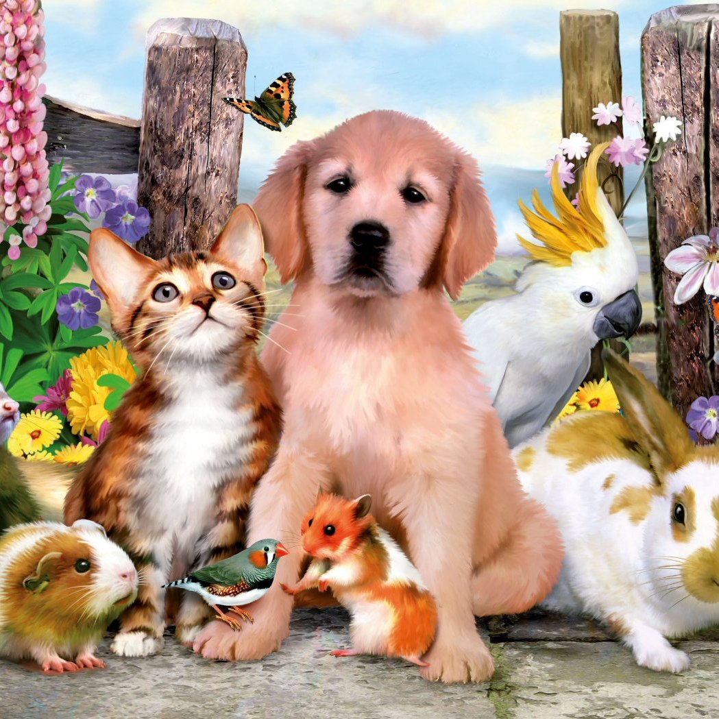 Передержка животных