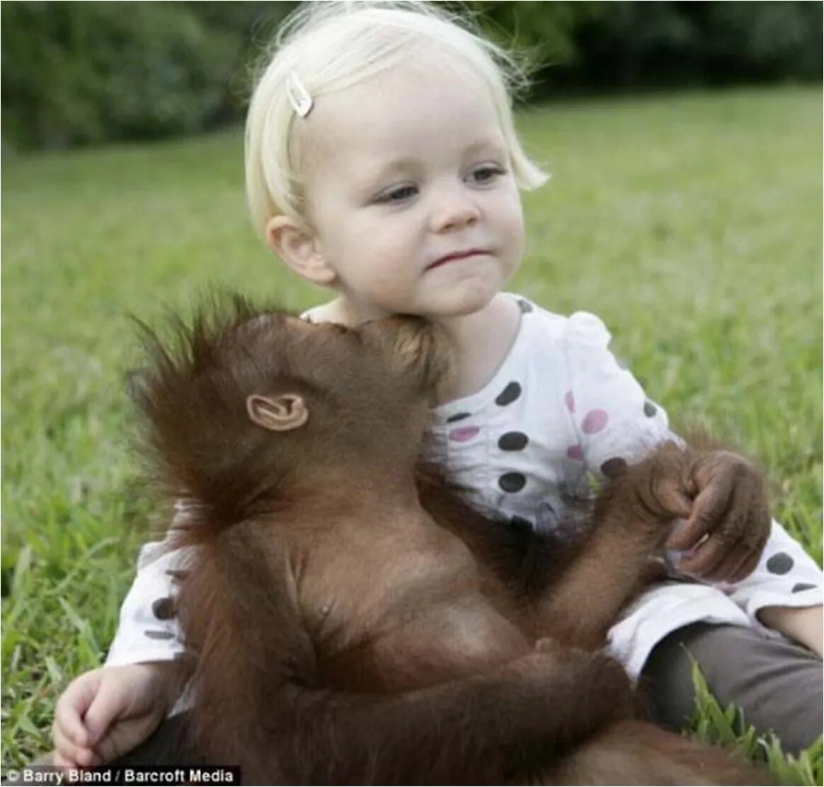 Обезьянка с детьми