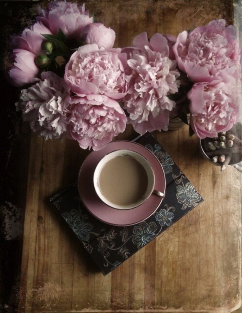 Фиолетовые цветы и книги