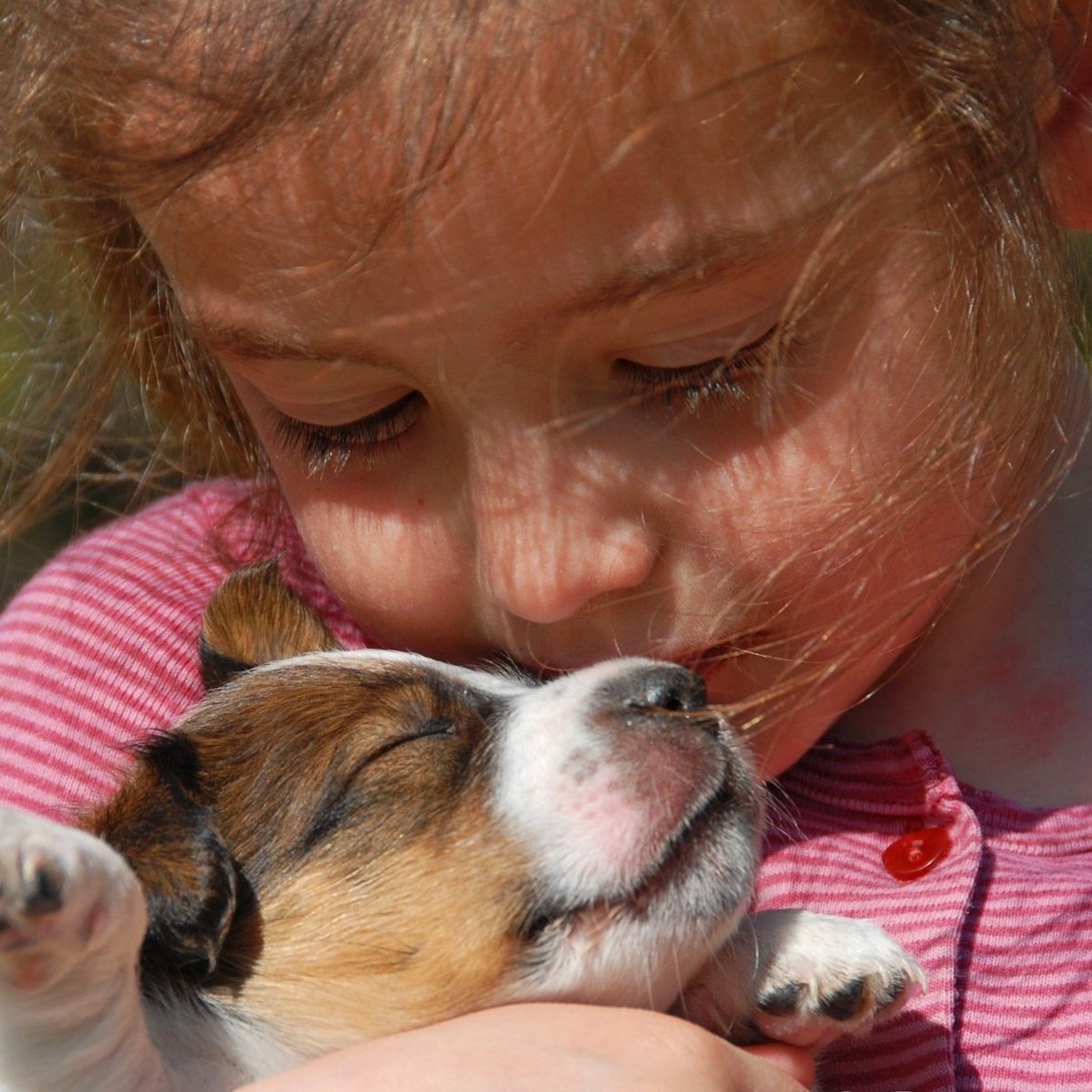 Братья наши меньшие