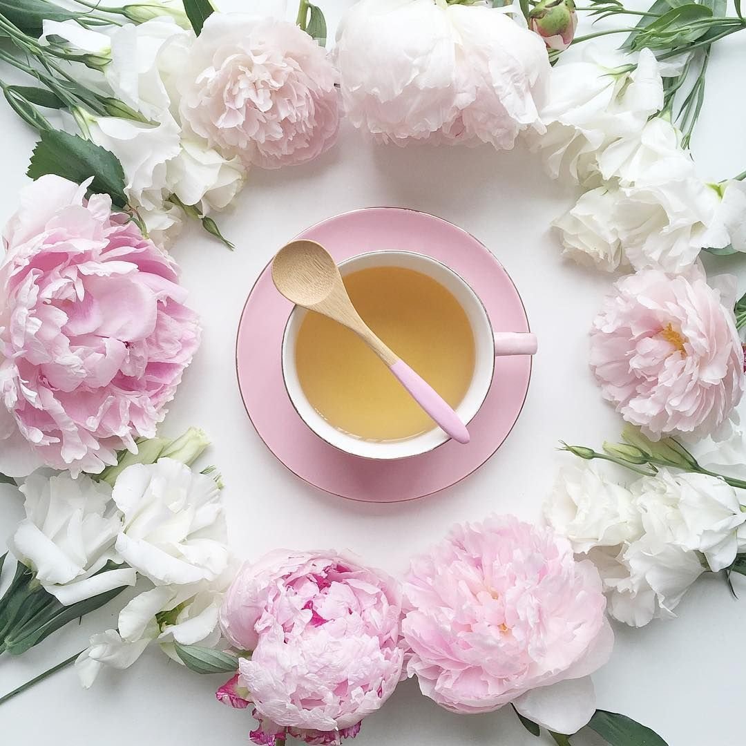 Лаванда Lavender aesthetic