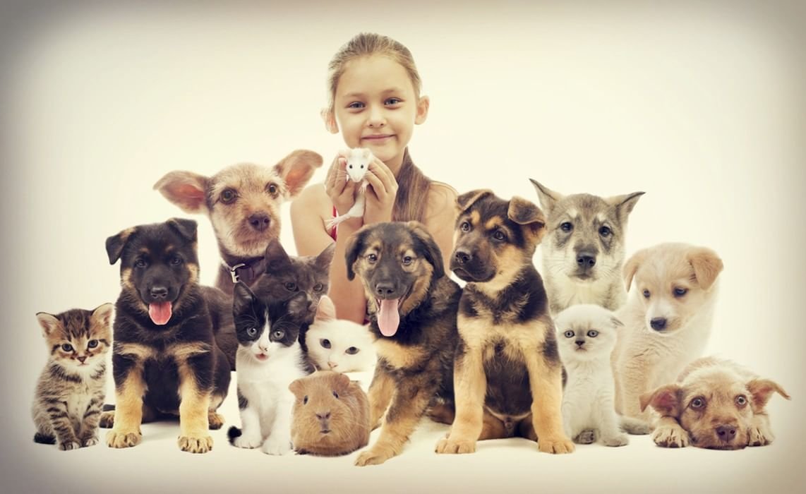 Братья наши меньшие