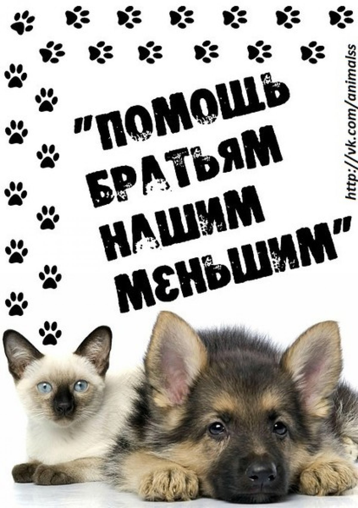 Поможем братьям нашим меньшим