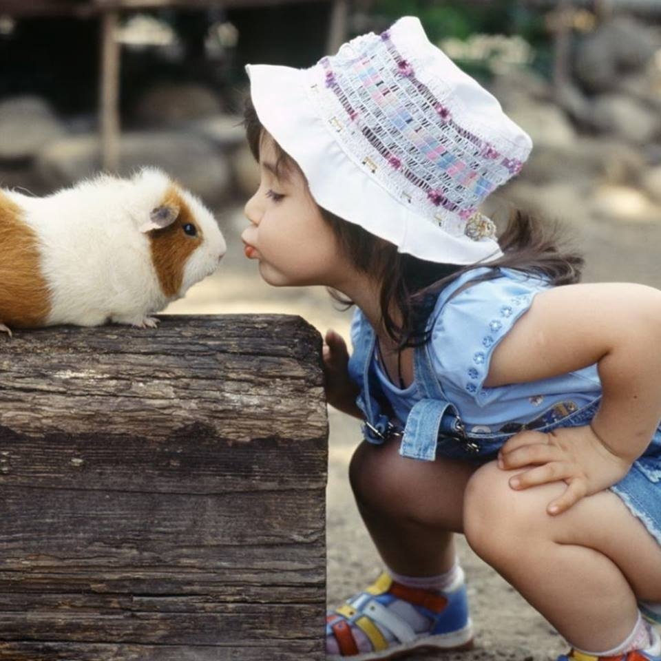 Александр Авалов фотограф