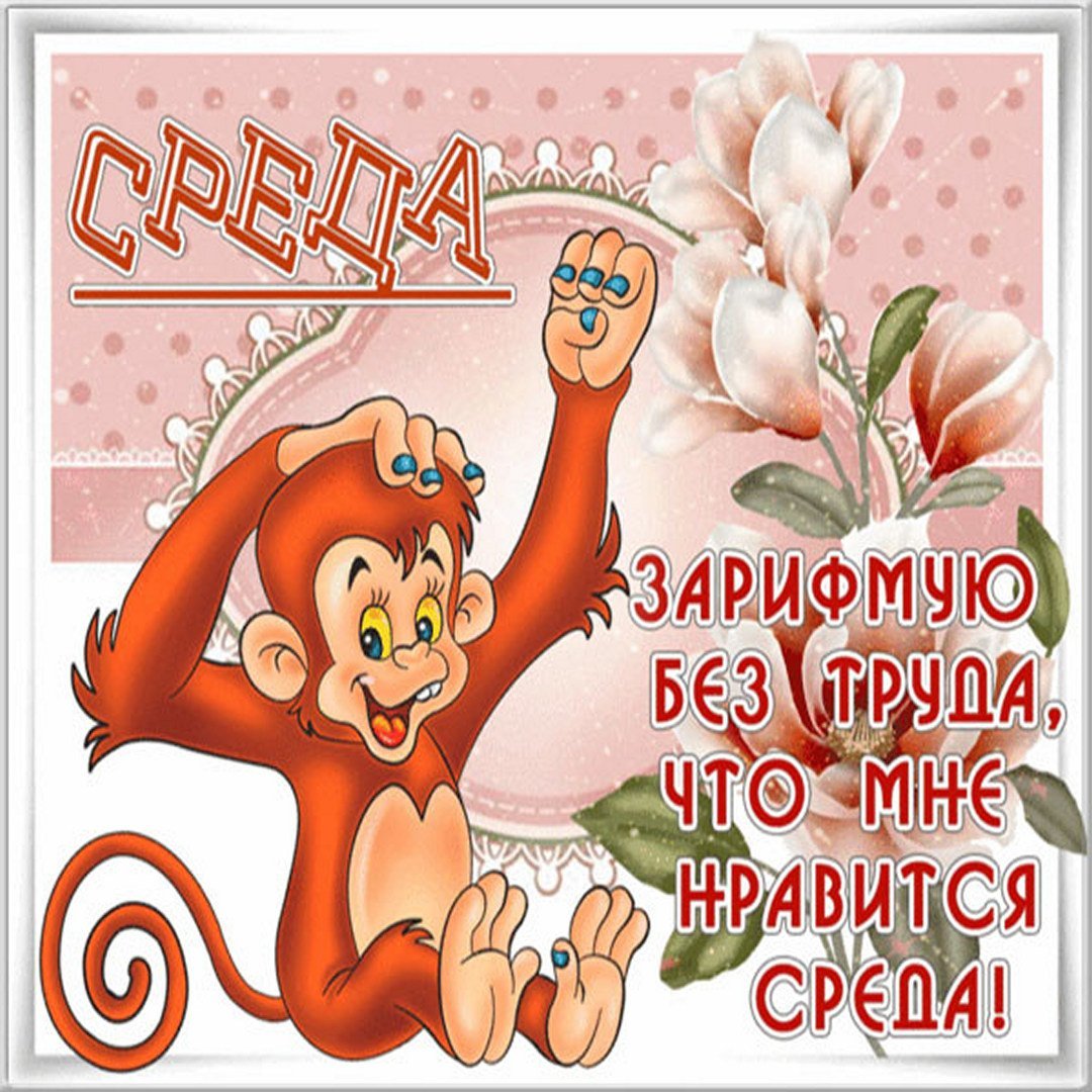 Открытки со средой прикольные