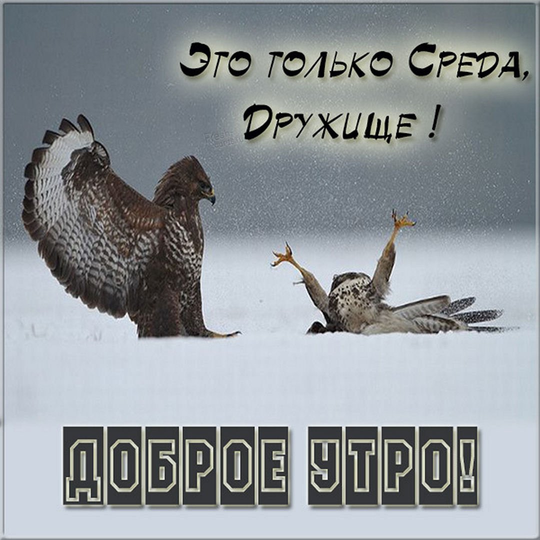 Вечер четверга приколы