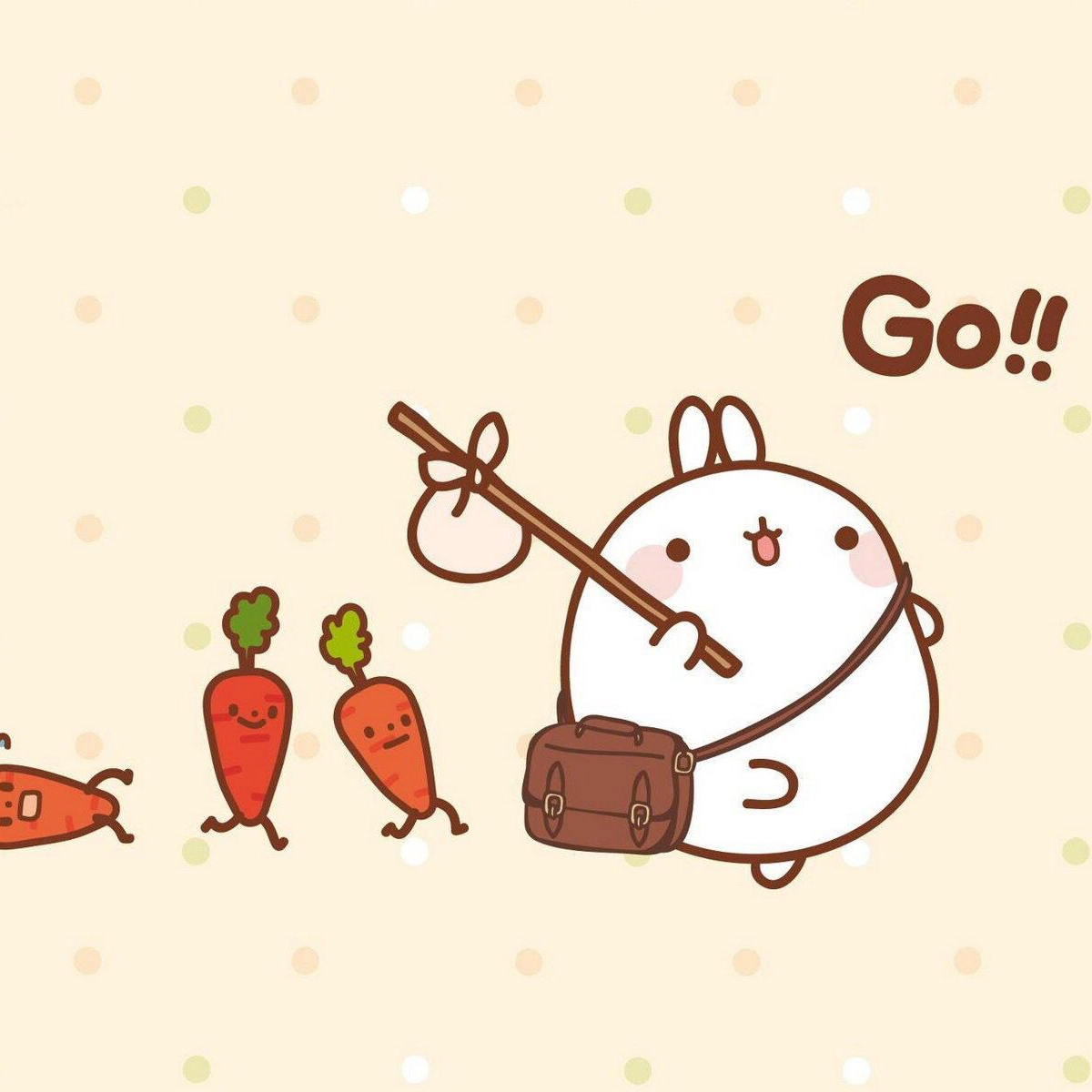 Японский кролик Моланг