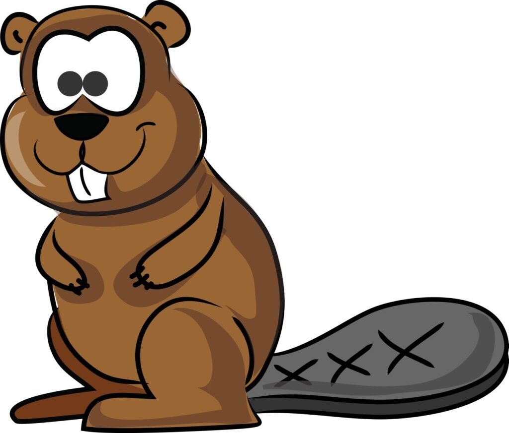 Спортивный бобер