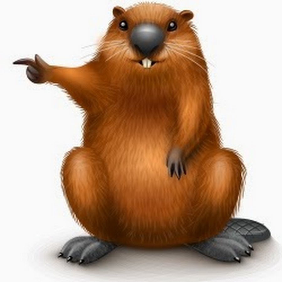 Бобер мультяшный