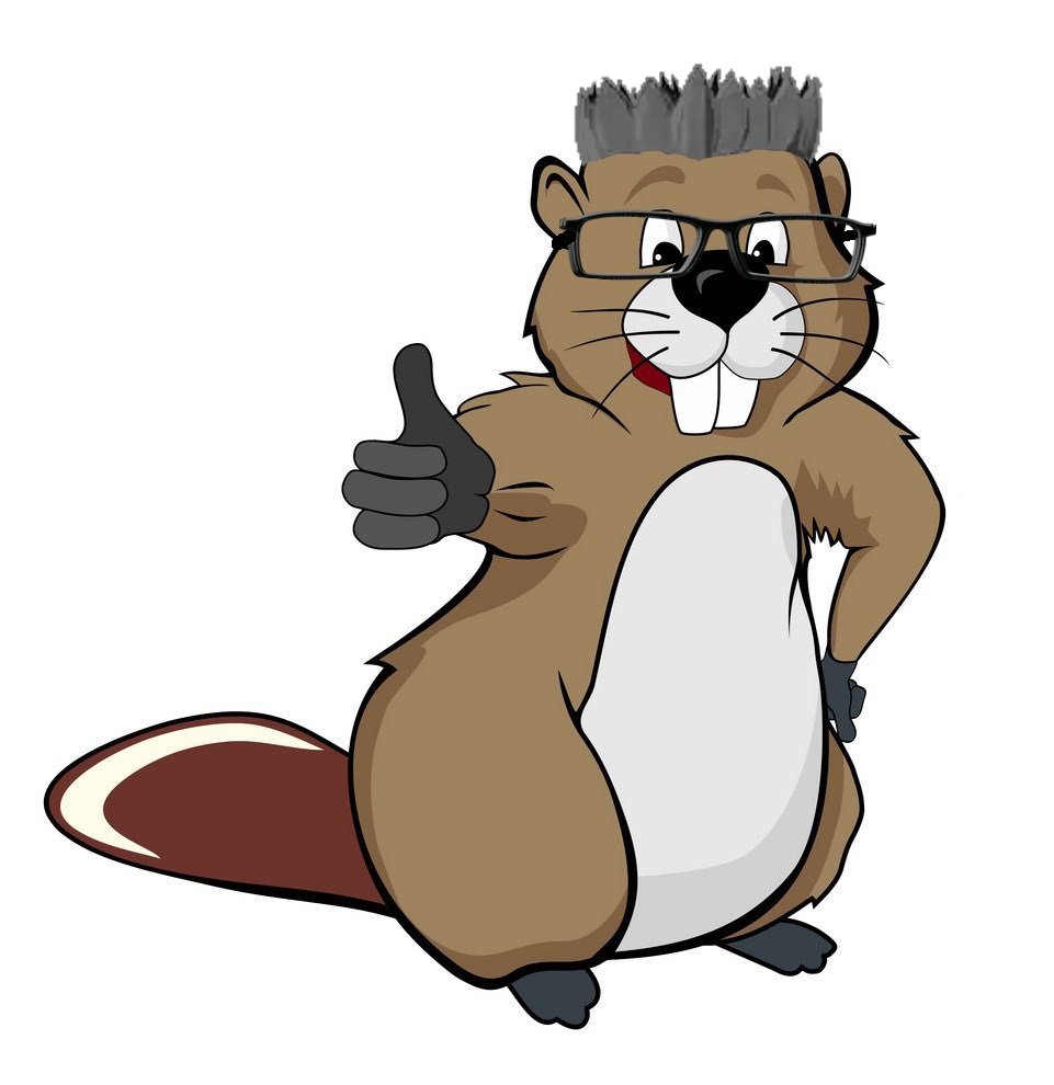 Картинка бобра для детей