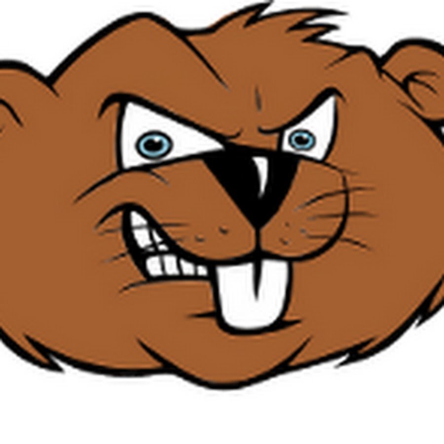 Бобры мультяшные