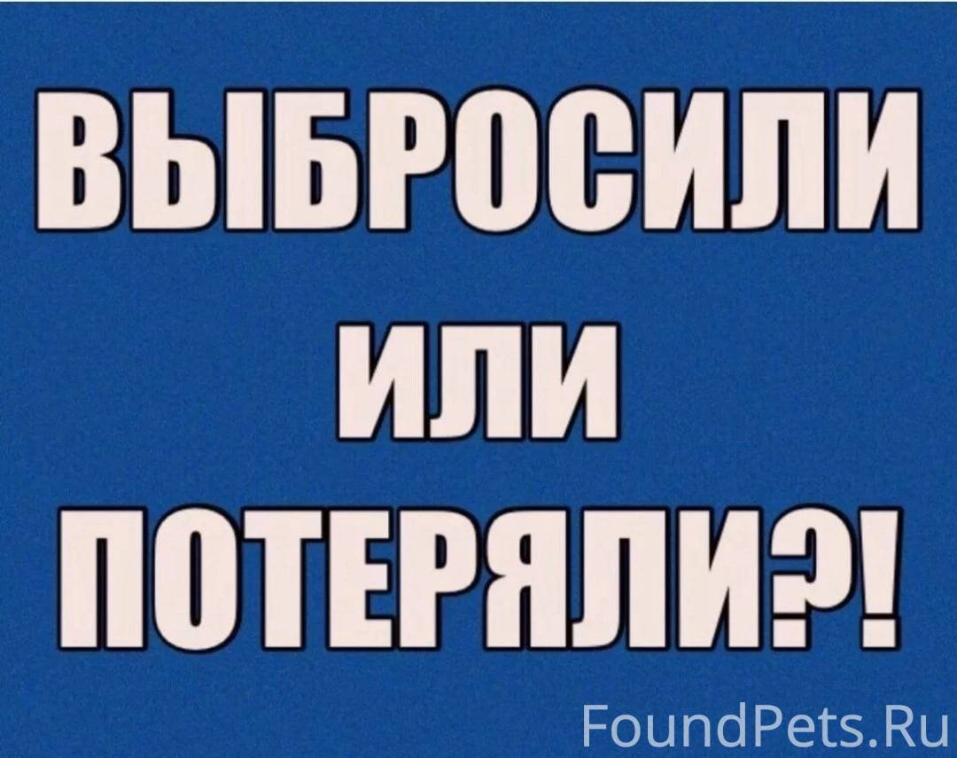 Потеряшка или выбросили