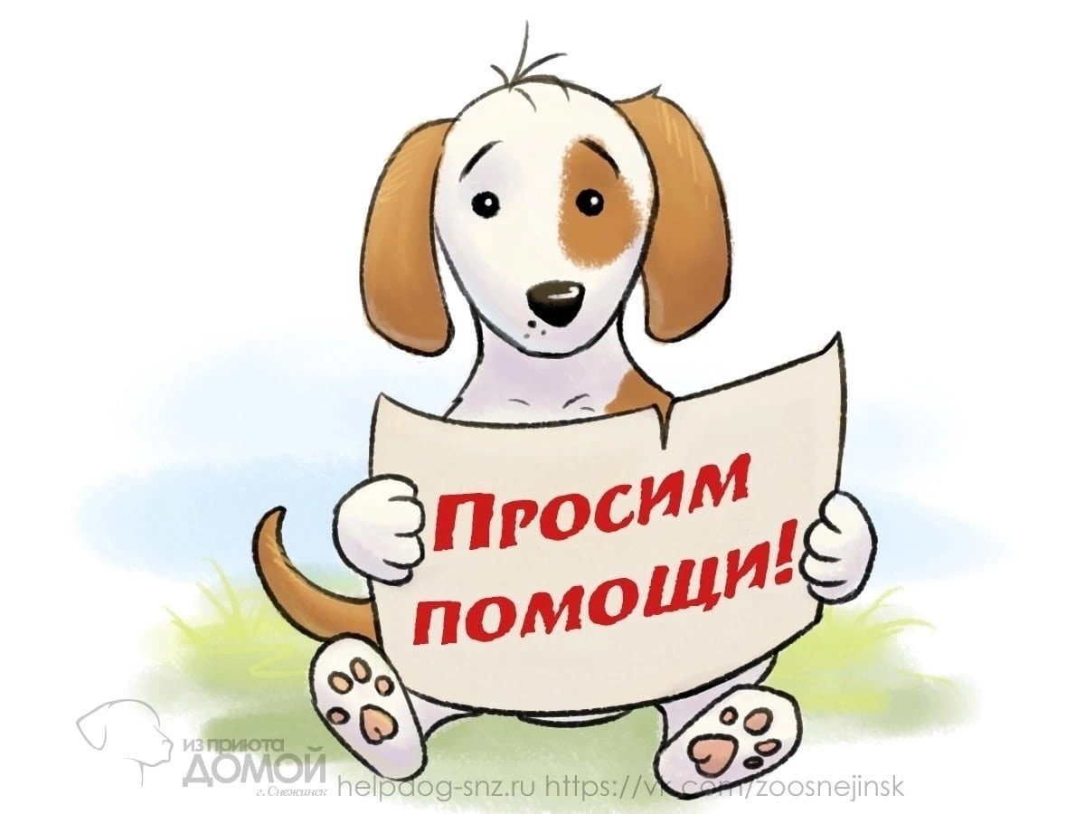 Помогите собаке