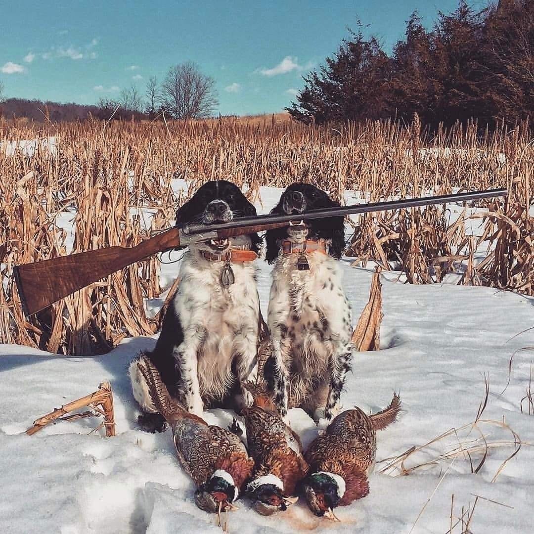 Силуэт охотника с ружьем