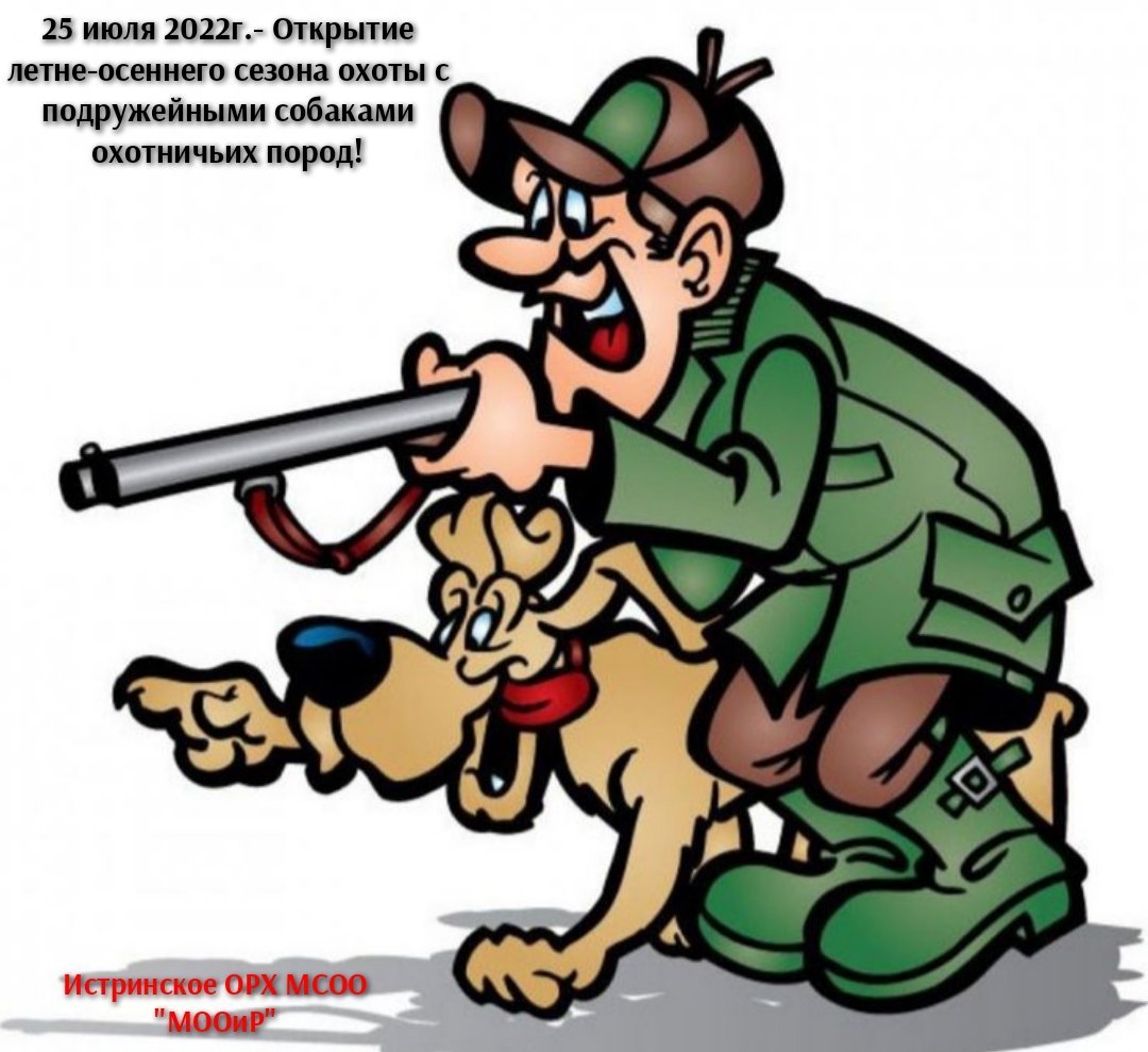 Лесничий картинки для детей на прозрачном фоне