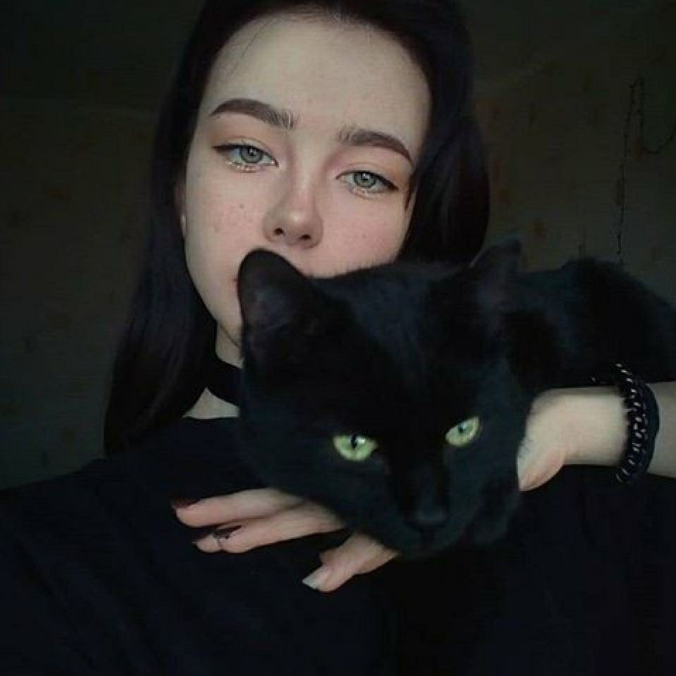 Черная кошка на коленях