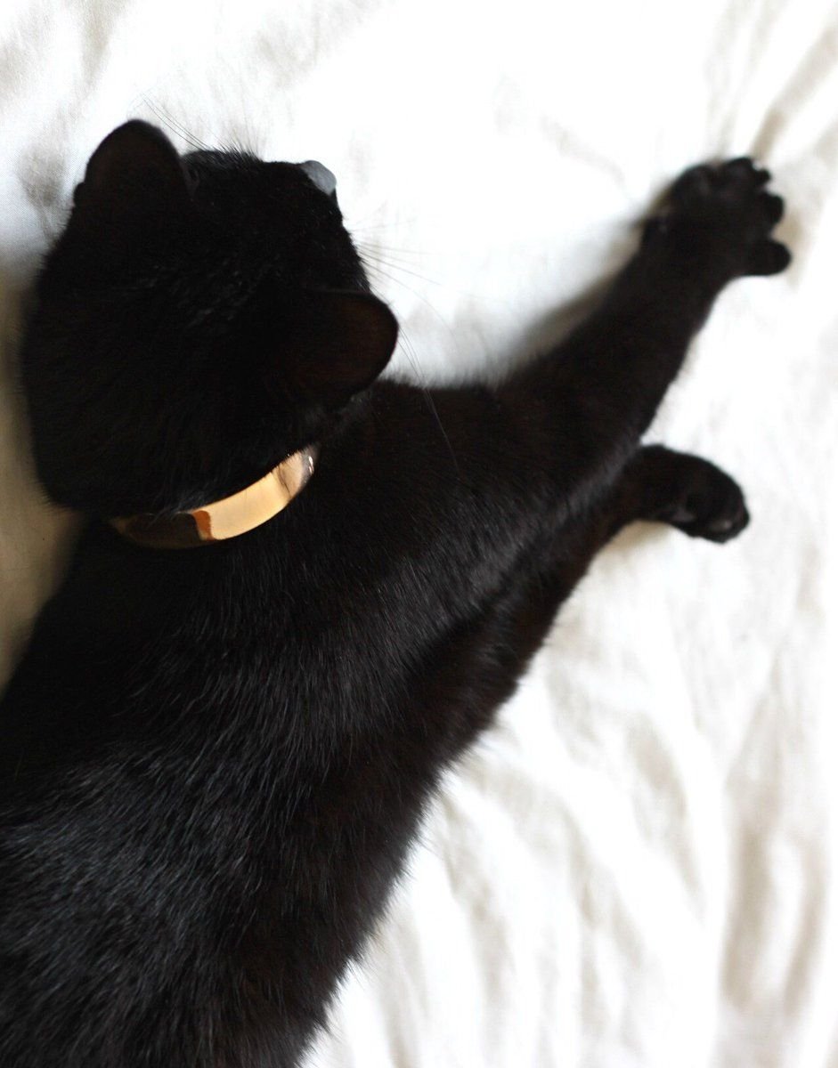 Хэллоуин иллюстрации