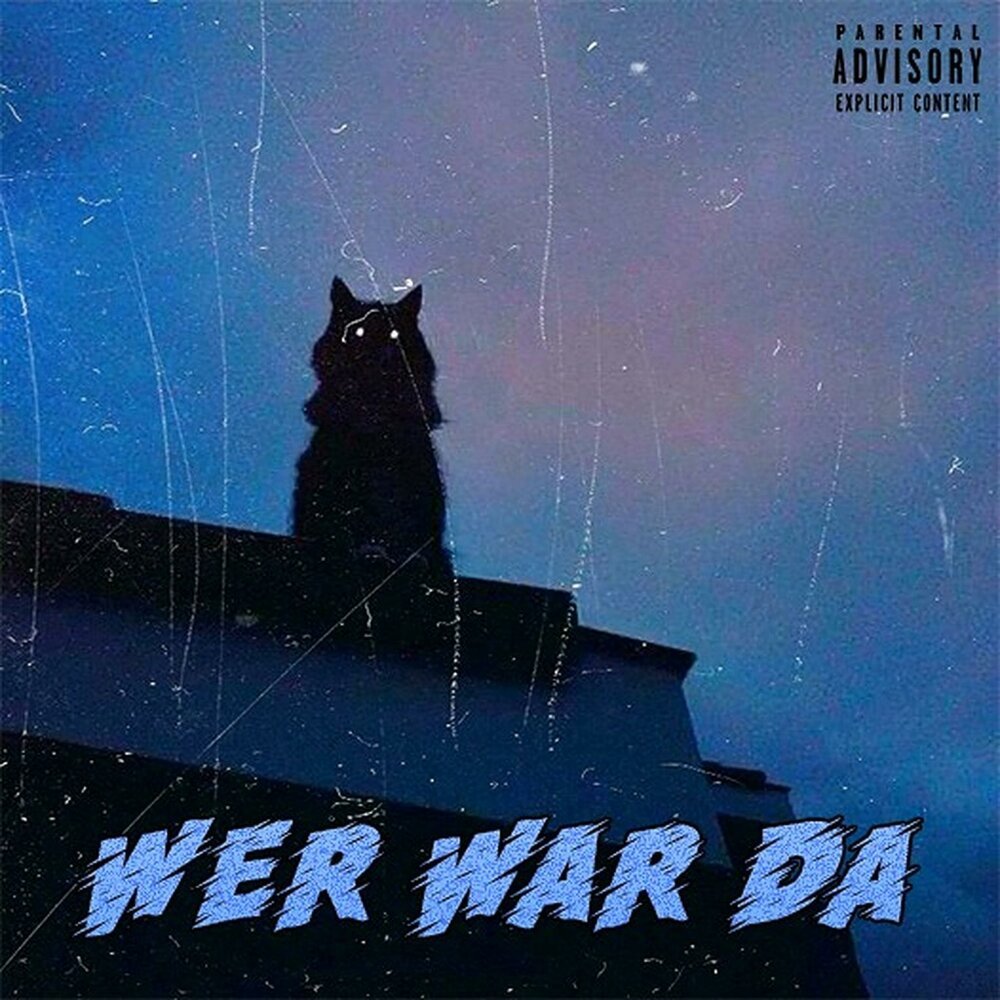 Смешной черный кот