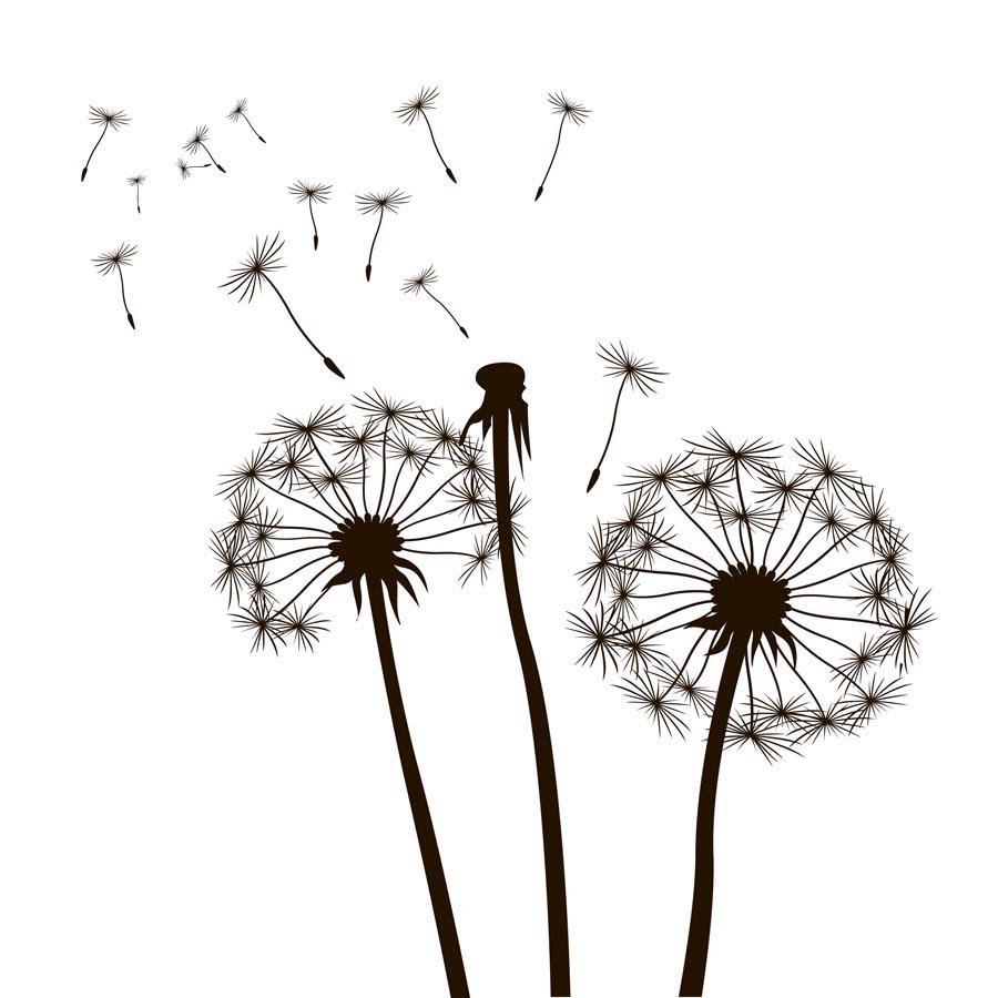 Одуванчик силуэт