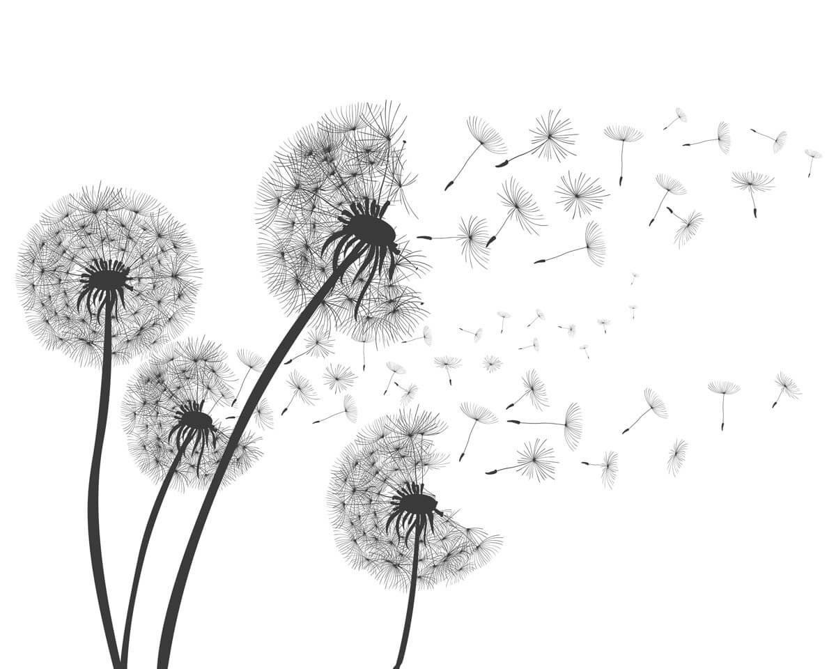 Трафарет одуванчика на стену