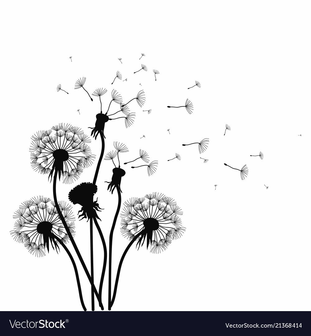 Одуванчик вектор Графика