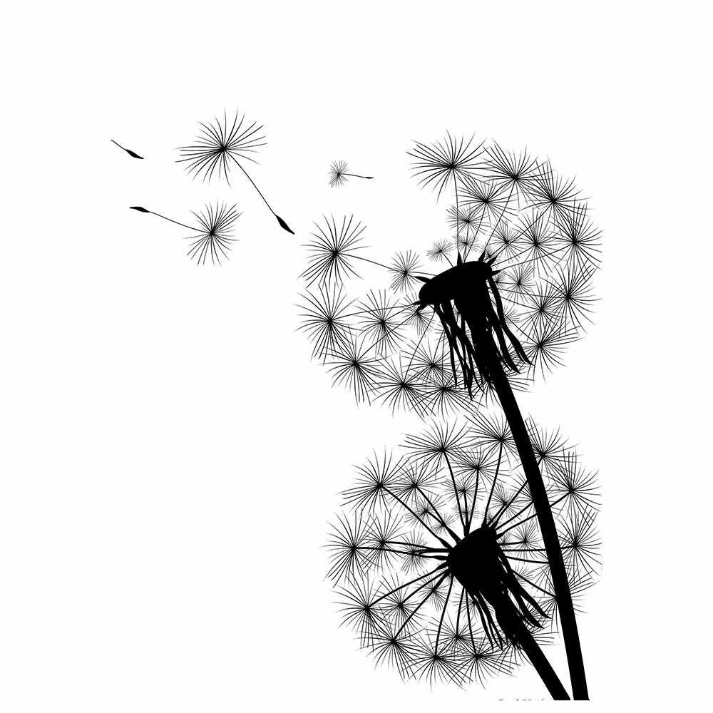 Черно белый одуванчик на белом фоне