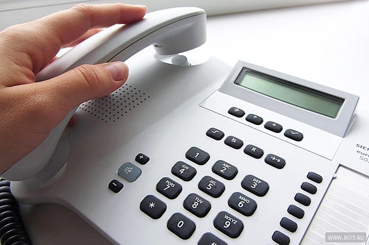 Прямая линия телефон