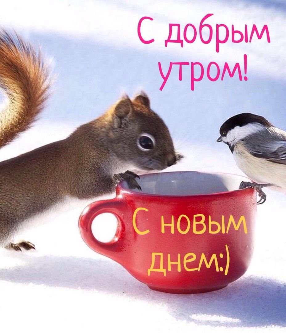 С новым добрым утром