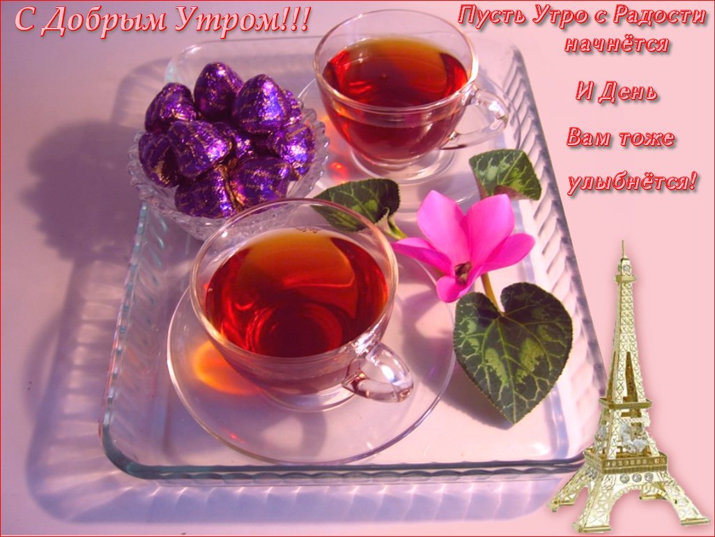 Чашечка чая для тебя