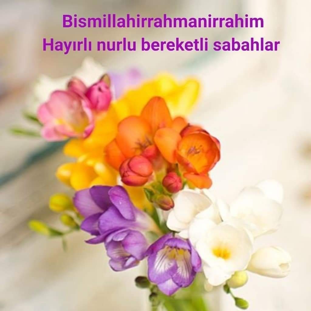 Весенние цветы фрезия