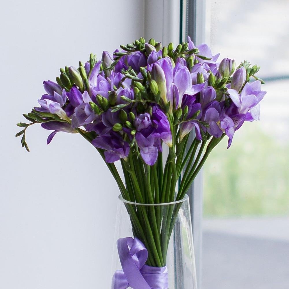 Фрезия цветок