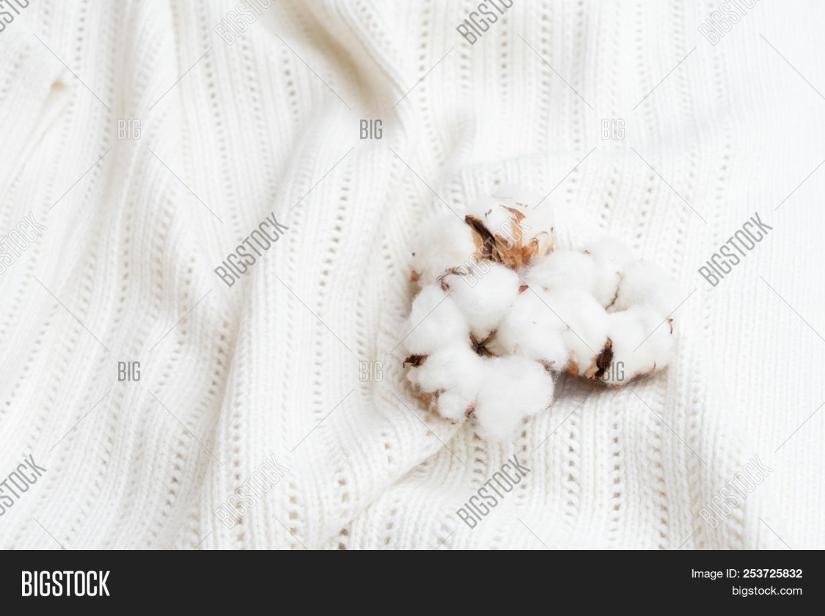 Фотофон с хлопком