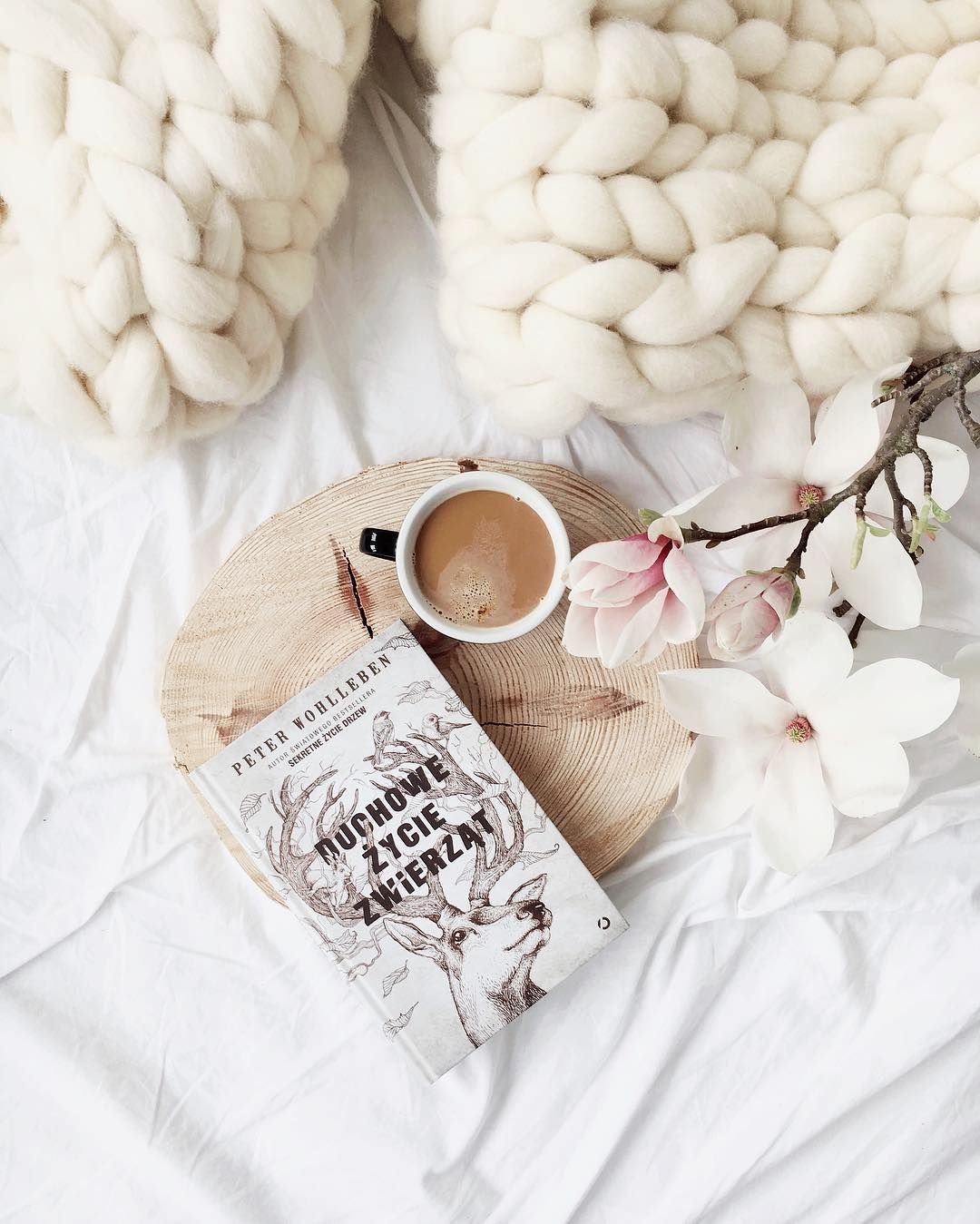 Ваниль Эстетика