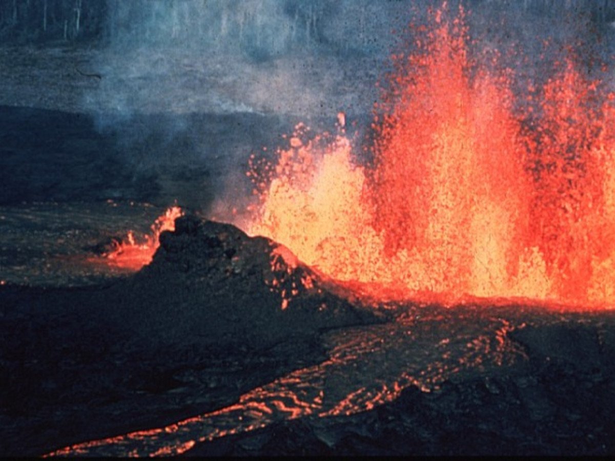 Эдиакарская Биота