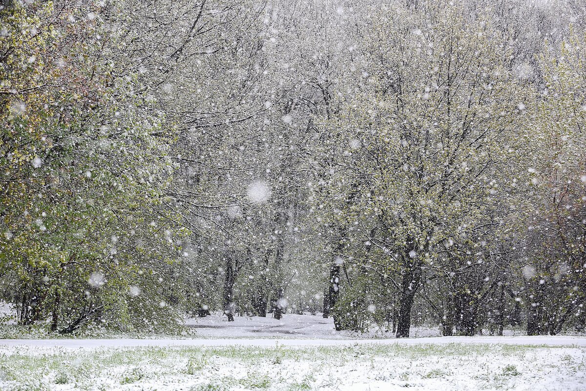 Ранний снегопад