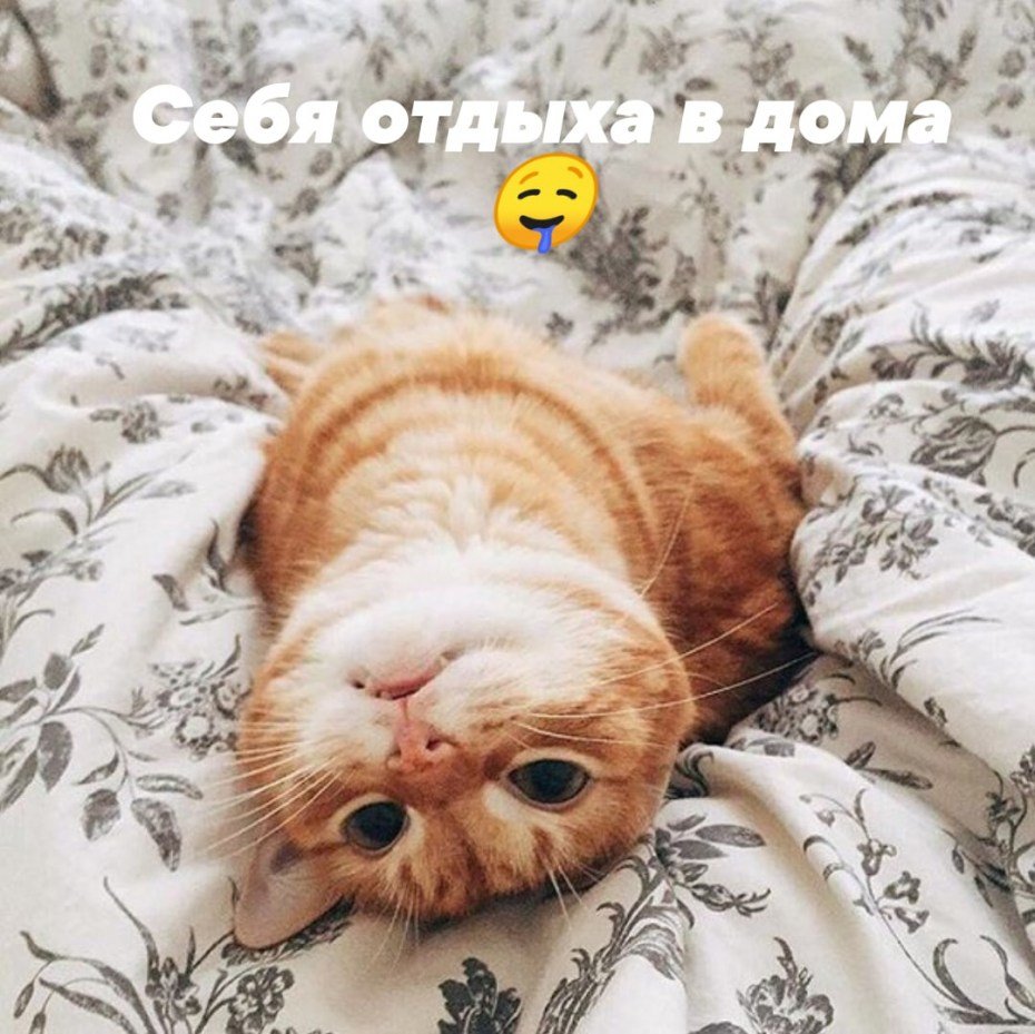 Котик проснулся