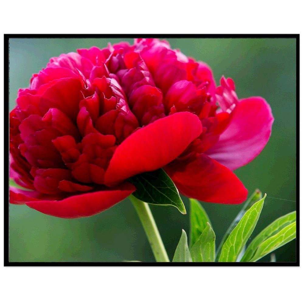 Для тебя просто так