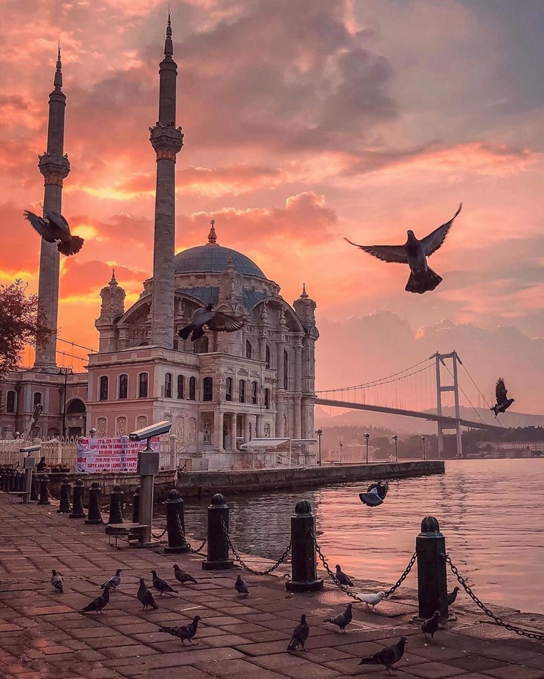 Стамбул Босфор Чайки мечети