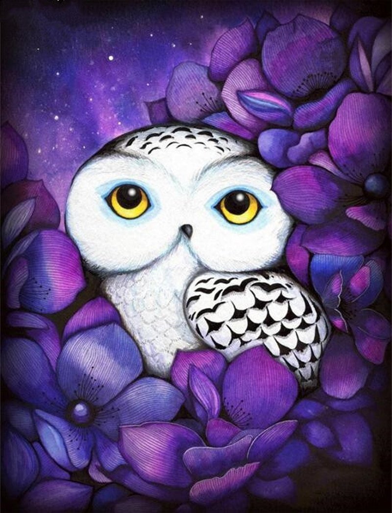 Сова в очках