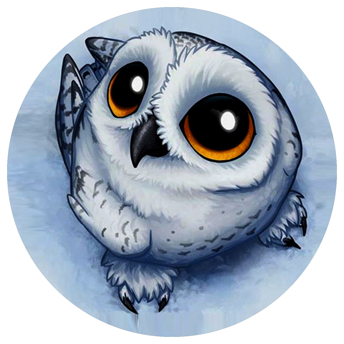 Сова рисунок