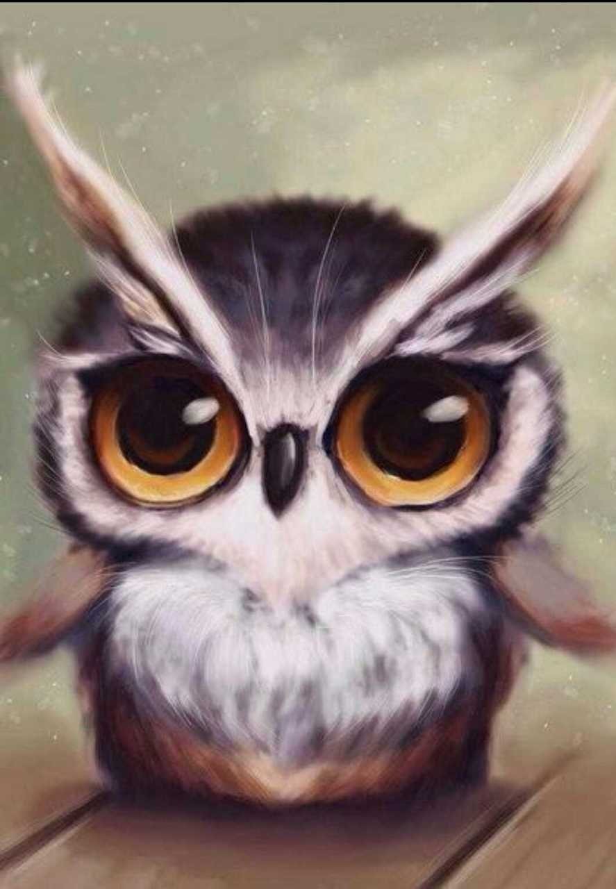 Совушки мальчики