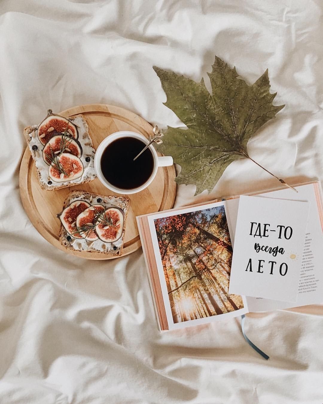 Осень чай плед